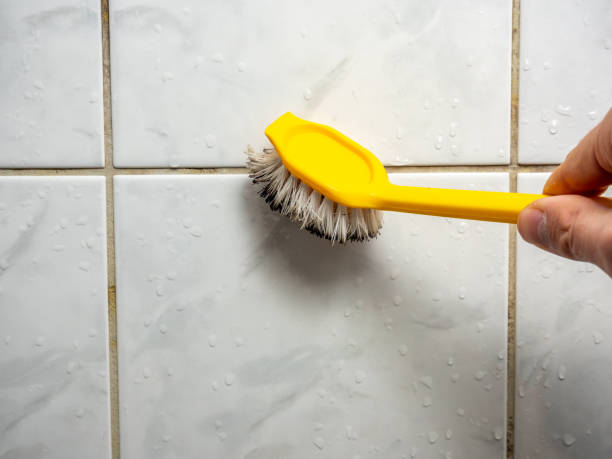  Taft Mosswood, CA Mold Removal Pros