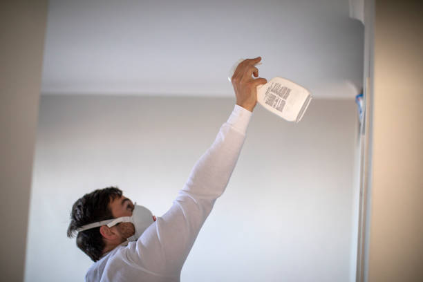 Best Office Mold Removal Services  in Taft Mosswood, CA