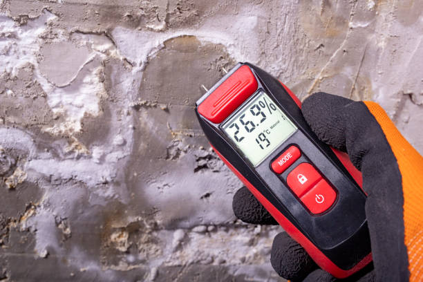 Best Mold Testing and Removal  in Taft Mosswood, CA