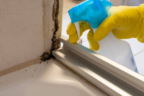 Best Mold Removal and Inspection  in Taft Mosswood, CA