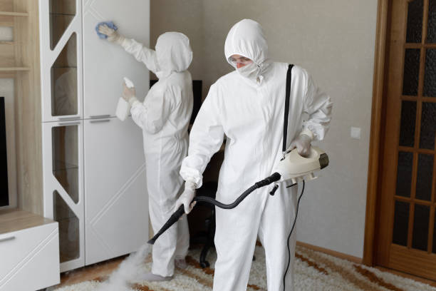 Best Certified Mold Removal  in Taft Mosswood, CA