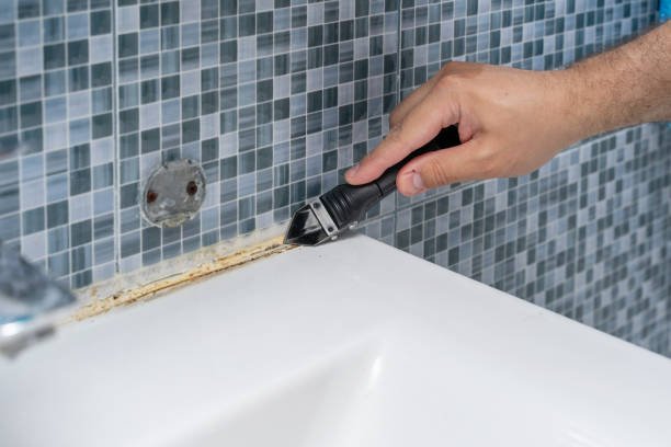 Best Crawl Space Mold Removal  in Taft Mosswood, CA