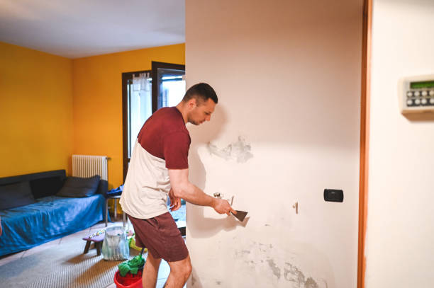 Best Emergency Mold Removal  in Taft Mosswood, CA
